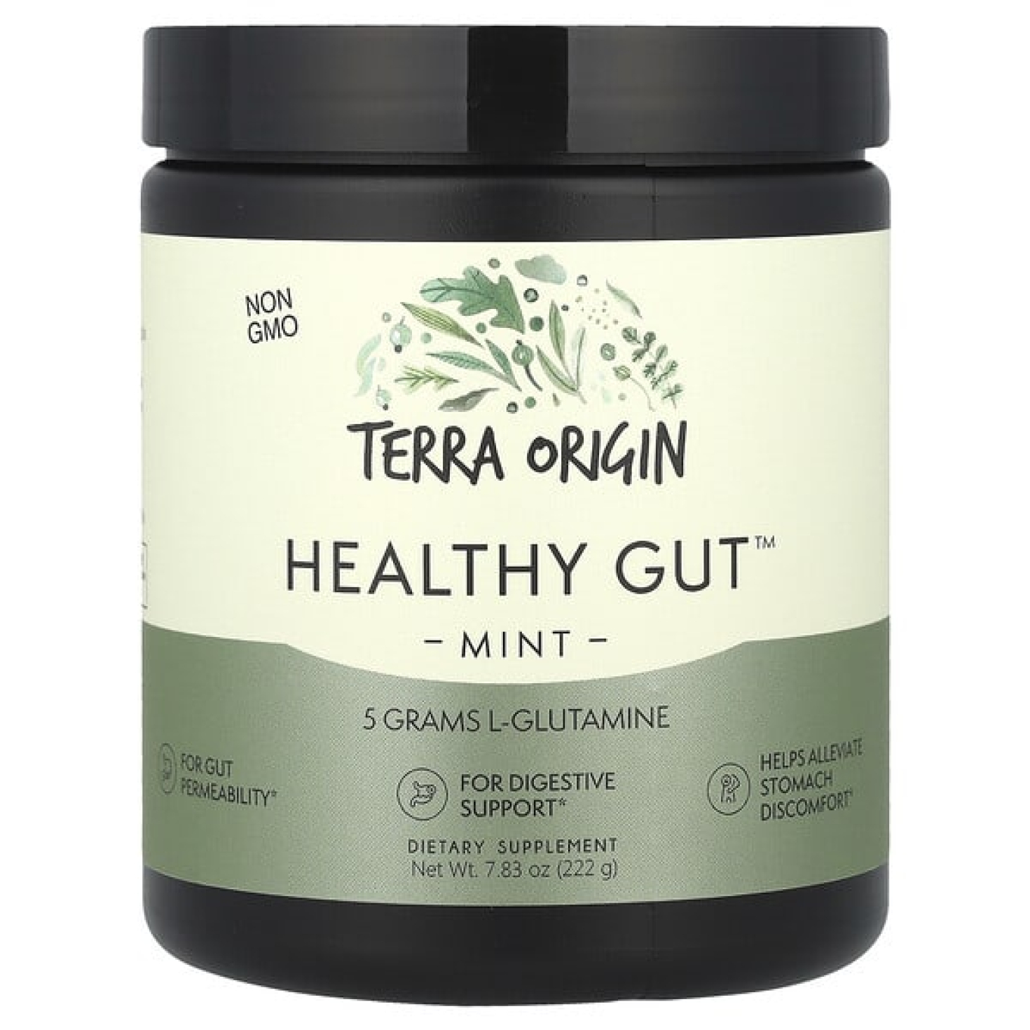 Terra Origin, Healthy Gut™, мята, 222 г (7,83 унции)